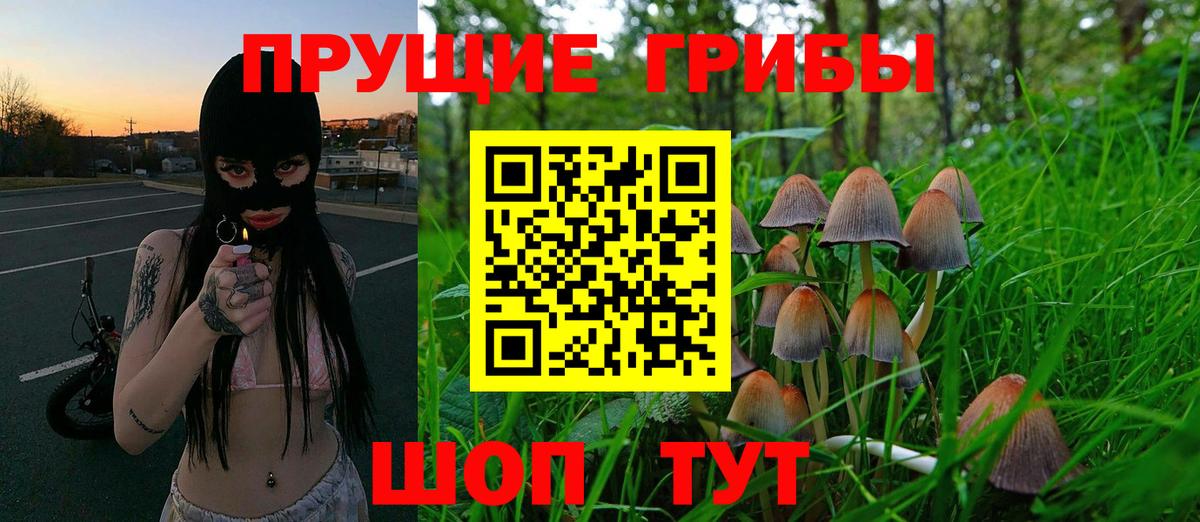 Донской  Псилоцибиновые грибы Psilocybe  что такое наркотик  Вход с VPN  Галлюциногенные грибы Psilocybine cubensis 